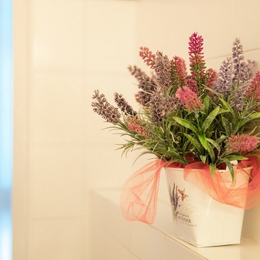 Particolare Camera - vaso di fiori
