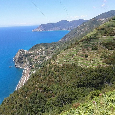 Trekking Cinque Terre and Italian Riviera